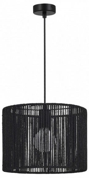 Подвесной светильник EVOLUCE ETTAN SLE6024-403-01 в Ишиме - ishim.ok-mebel.com | фото 4