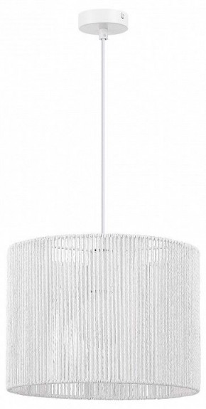 Подвесной светильник EVOLUCE ETTAN SLE6024-503-01 в Ишиме - ishim.ok-mebel.com | фото 4