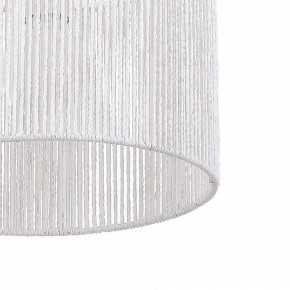 Подвесной светильник EVOLUCE ETTAN SLE6024-503-01 в Ишиме - ishim.ok-mebel.com | фото 8