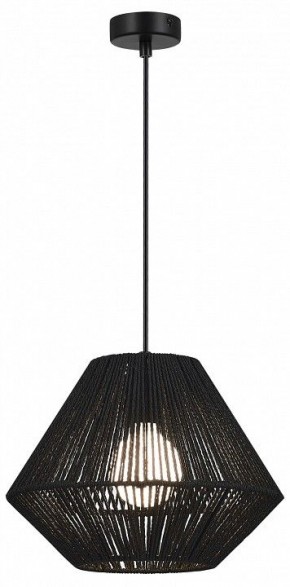 Подвесной светильник EVOLUCE ETTAN SLE6025-403-01 в Ишиме - ishim.ok-mebel.com | фото 2