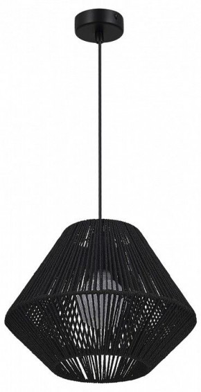 Подвесной светильник EVOLUCE ETTAN SLE6025-403-01 в Ишиме - ishim.ok-mebel.com | фото 4
