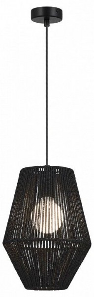 Подвесной светильник EVOLUCE ETTAN SLE6025-413-01 в Ишиме - ishim.ok-mebel.com | фото 2