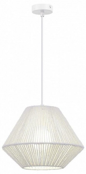 Подвесной светильник EVOLUCE ETTAN SLE6025-503-01 в Ишиме - ishim.ok-mebel.com | фото