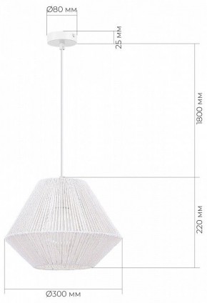 Подвесной светильник EVOLUCE ETTAN SLE6025-503-01 в Ишиме - ishim.ok-mebel.com | фото 6
