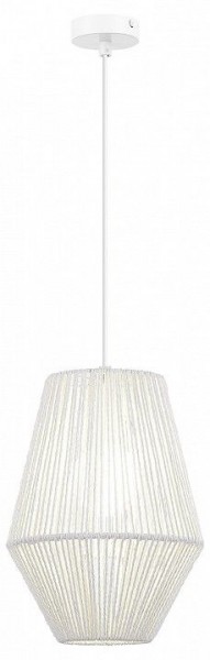 Подвесной светильник EVOLUCE ETTAN SLE6025-513-01 в Ишиме - ishim.ok-mebel.com | фото