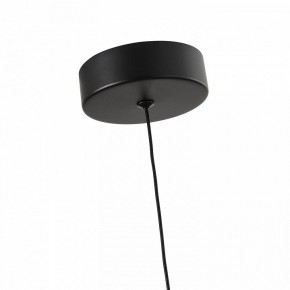 Подвесной светильник Favourite Cattivo 4452-1P в Ишиме - ishim.ok-mebel.com | фото 7