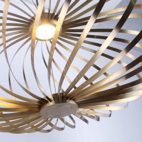 Подвесной светильник Favourite Spring 4680-1P в Ишиме - ishim.ok-mebel.com | фото 5