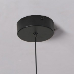 Подвесной светильник Favourite Wilet 4656-1P в Ишиме - ishim.ok-mebel.com | фото 10