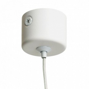 Подвесной светильник Feron ML1008 51376 в Ишиме - ishim.ok-mebel.com | фото 7