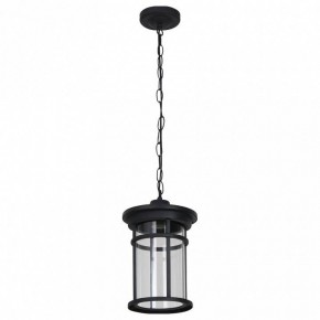 Подвесной светильник Feron PL765 51819 в Ишиме - ishim.ok-mebel.com | фото