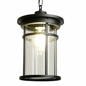 Подвесной светильник Feron PL765 51819 в Ишиме - ishim.ok-mebel.com | фото 3
