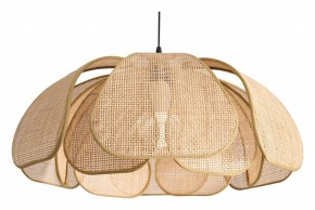 Подвесной светильник Freya Cocoon FR5529PL-01B в Ишиме - ishim.ok-mebel.com | фото