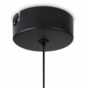 Подвесной светильник Freya Idol FR6134PL-L4SM в Ишиме - ishim.ok-mebel.com | фото 8