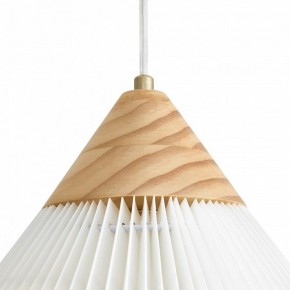 Подвесной светильник Freya Kinsley FR5533PL-01BS в Ишиме - ishim.ok-mebel.com | фото 8