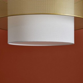 Подвесной светильник Freya Lattice FR5528PL-01BS в Ишиме - ishim.ok-mebel.com | фото 9