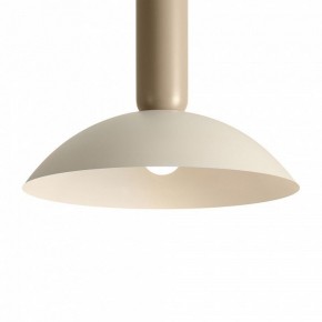 Подвесной светильник Freya Lotus FR5551PL-01CR в Ишиме - ishim.ok-mebel.com | фото 10