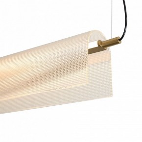 Подвесной светильник Freya Loyd FR5556PL-L22BBS в Ишиме - ishim.ok-mebel.com | фото 11