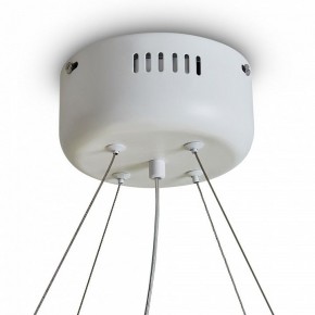 Подвесной светильник Freya Rain FR5546PL-L60W в Ишиме - ishim.ok-mebel.com | фото 9