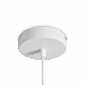 Подвесной светильник Freya Shapes FR5530PL-L10W в Ишиме - ishim.ok-mebel.com | фото 5