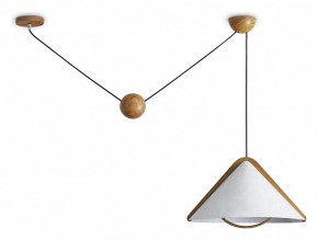 Подвесной светильник Freya Umbra FR5554CL-01T в Ишиме - ishim.ok-mebel.com | фото