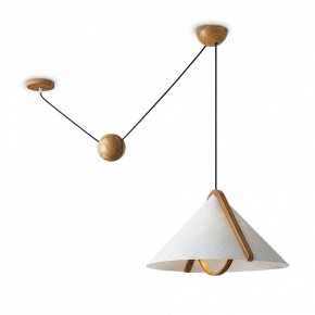 Подвесной светильник Freya Umbra FR5554CL-01T в Ишиме - ishim.ok-mebel.com | фото 2