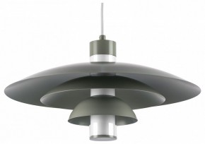 Подвесной светильник Lightstar Erbareo 799019 в Ишиме - ishim.ok-mebel.com | фото