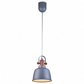Подвесной светильник Lucia Tucci Industrial INDUSTRIAL 1820.1 SAND SILVER в Ишиме - ishim.ok-mebel.com | фото 2