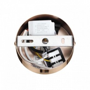 Подвесной светильник Lumion Cristie 8009/6L в Ишиме - ishim.ok-mebel.com | фото 6