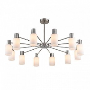 Подвесной светильник Lumion Mave 8099/12C в Ишиме - ishim.ok-mebel.com | фото 3