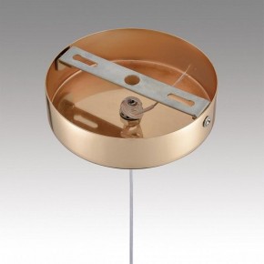 Подвесной светильник Lumion Rimini 8083/1A в Ишиме - ishim.ok-mebel.com | фото 7