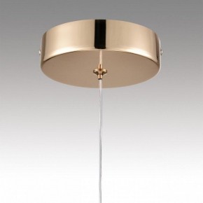 Подвесной светильник Lumion Rimini 8083/1A в Ишиме - ishim.ok-mebel.com | фото 9