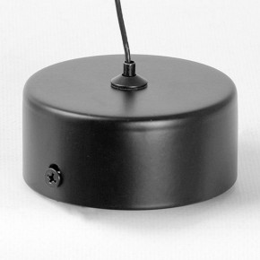 Подвесной светильник Lussole Blount LSP-7356 в Ишиме - ishim.ok-mebel.com | фото 6