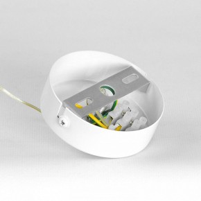 Подвесной светильник Lussole Gregg LSP-8963 в Ишиме - ishim.ok-mebel.com | фото 7