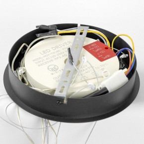 Подвесной светильник Lussole Hale LSP-7380 в Ишиме - ishim.ok-mebel.com | фото 6