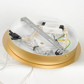 Подвесной светильник Lussole Hopkins LSP-7400 в Ишиме - ishim.ok-mebel.com | фото 5
