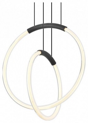 Подвесной светильник Lussole Lancaster LSP-7445 в Ишиме - ishim.ok-mebel.com | фото 2