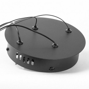 Подвесной светильник Lussole Lancaster LSP-7445 в Ишиме - ishim.ok-mebel.com | фото 4