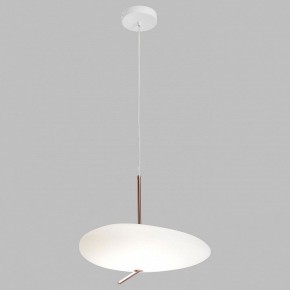 Подвесной светильник Lussole  LSP-7528 в Ишиме - ishim.ok-mebel.com | фото