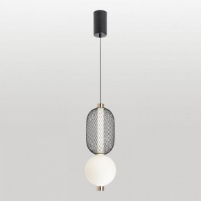 Подвесной светильник Lussole  LSP-7529 в Ишиме - ishim.ok-mebel.com | фото 2