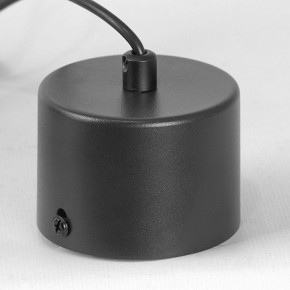Подвесной светильник Lussole Milam LSP-7450 в Ишиме - ishim.ok-mebel.com | фото 7