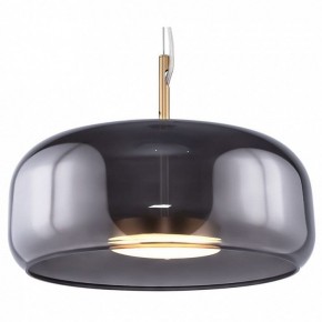 Подвесной светильник Maytoni Madmen MOD127PL-L6SG в Ишиме - ishim.ok-mebel.com | фото