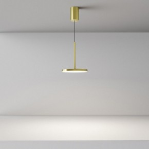 Подвесной светильник Maytoni Plato P076PL-L12W4K-BS в Ишиме - ishim.ok-mebel.com | фото 4