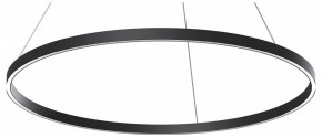 Подвесной светильник Maytoni Rim MOD058PL-L54BK в Ишиме - ishim.ok-mebel.com | фото