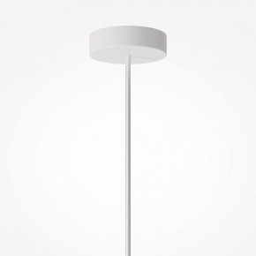 Подвесной светильник Maytoni Toys MOD405PL-01W1 в Ишиме - ishim.ok-mebel.com | фото 8