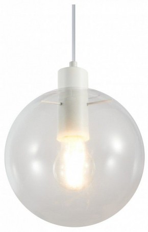 Подвесной светильник Moderli Aurora V11547-1P в Ишиме - ishim.ok-mebel.com | фото
