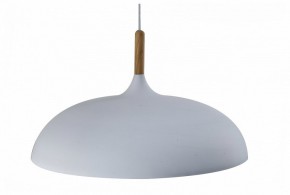 Подвесной светильник Moderli Hygo V11447-1P в Ишиме - ishim.ok-mebel.com | фото