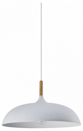 Подвесной светильник Moderli Hygo V11447-1P в Ишиме - ishim.ok-mebel.com | фото 3