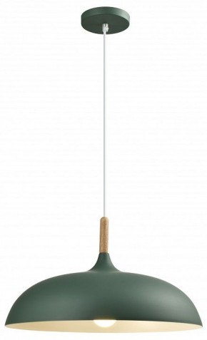 Подвесной светильник Moderli Hygo V11453-1P в Ишиме - ishim.ok-mebel.com | фото 4