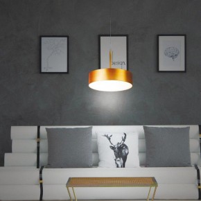 Подвесной светильник Novotech Prometa 358766 в Ишиме - ishim.ok-mebel.com | фото 5