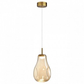 Подвесной светильник Odeon Light Nave 5098/4L в Ишиме - ishim.ok-mebel.com | фото 2